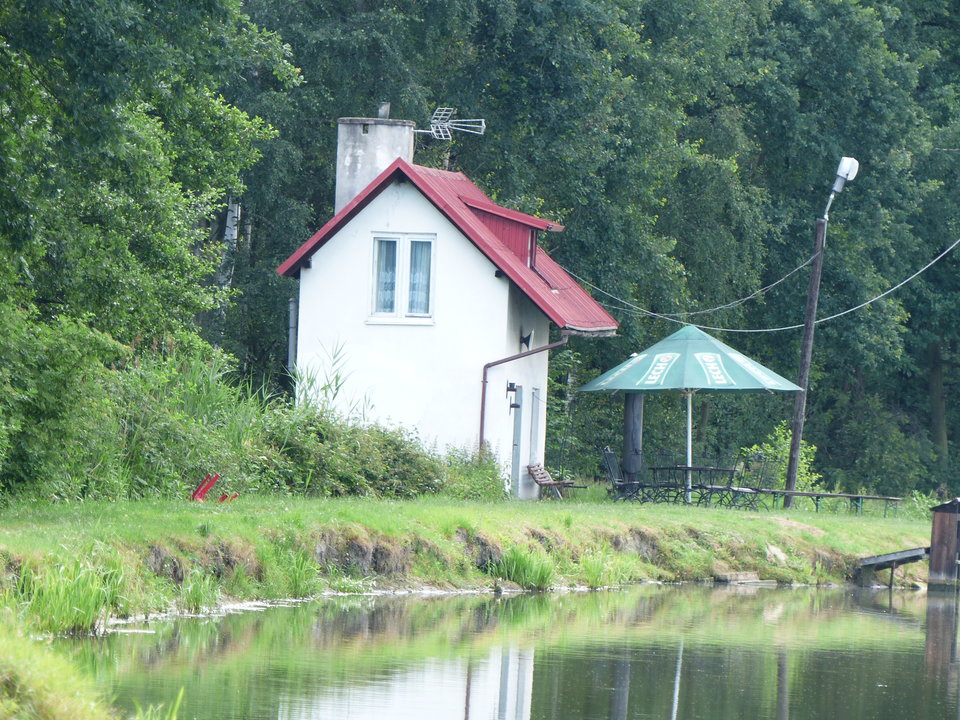 P1000253.JPG - onaongliwice