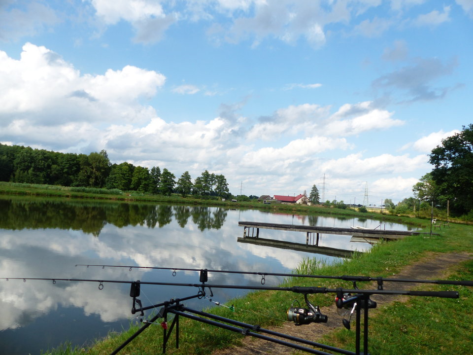 P1000257.JPG - onaongliwice