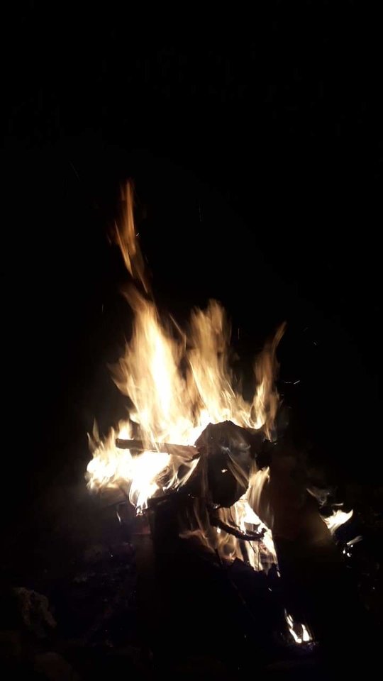 received_2447585311957311.jpeg - Riki83