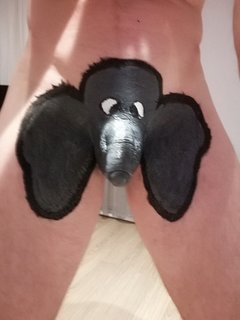 Słonik na szczęście...