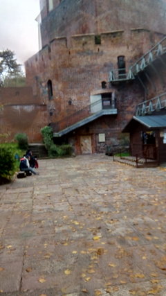 IMG_20191009_141155.jpg