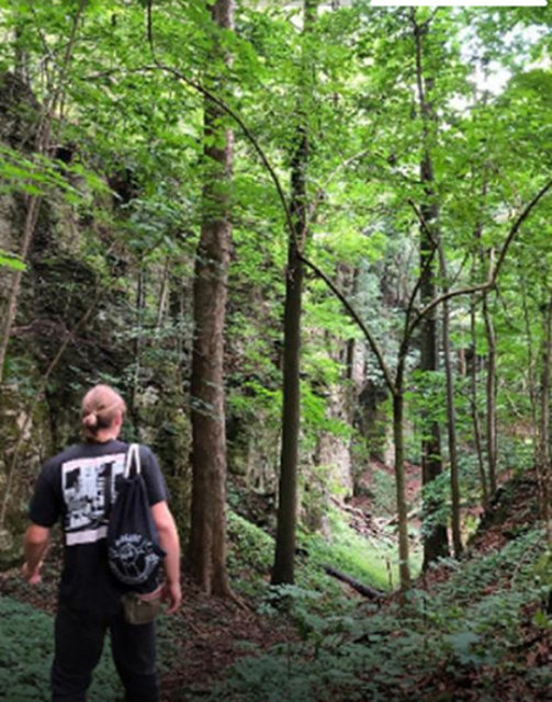 foto1.jpg - falkoneti