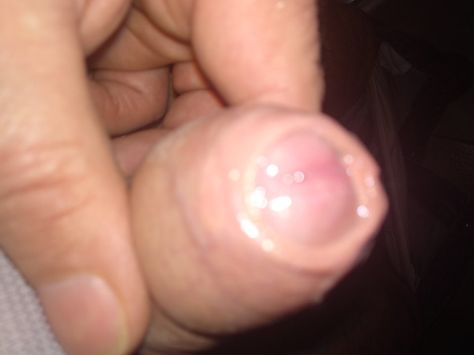 15745185799847002200084519294961.jpg - dupekalex