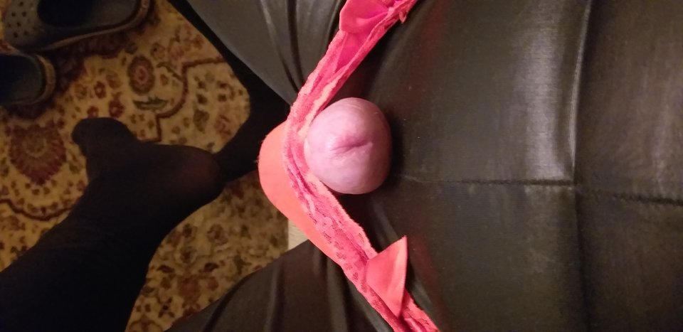 20191123_161153.jpg - kaktus9