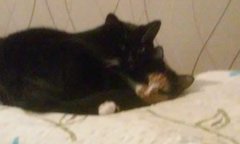 20190820_183455.jpg