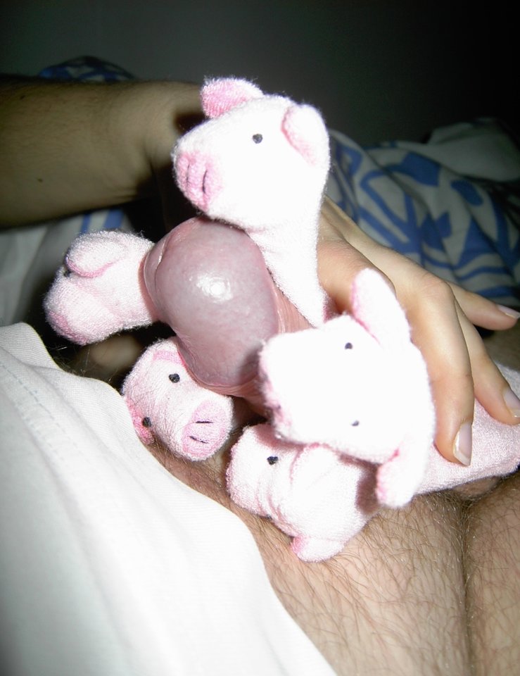 B49E6C28-942B-4657-BC8B-3C68FAAAAE2D.jpeg - Parabarabar