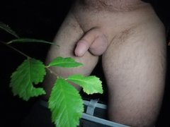 IMG_20191124_184820.jpg