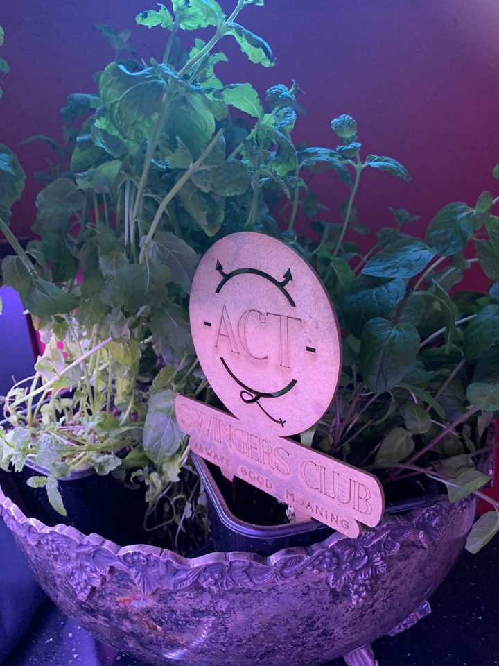 zawsze świeży, zawsze zieleni, zawsze ACTywni :) - ACTSwingersClubWarszawa