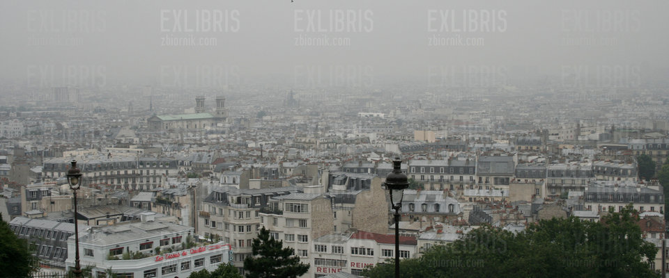 Mgliście - exlibris