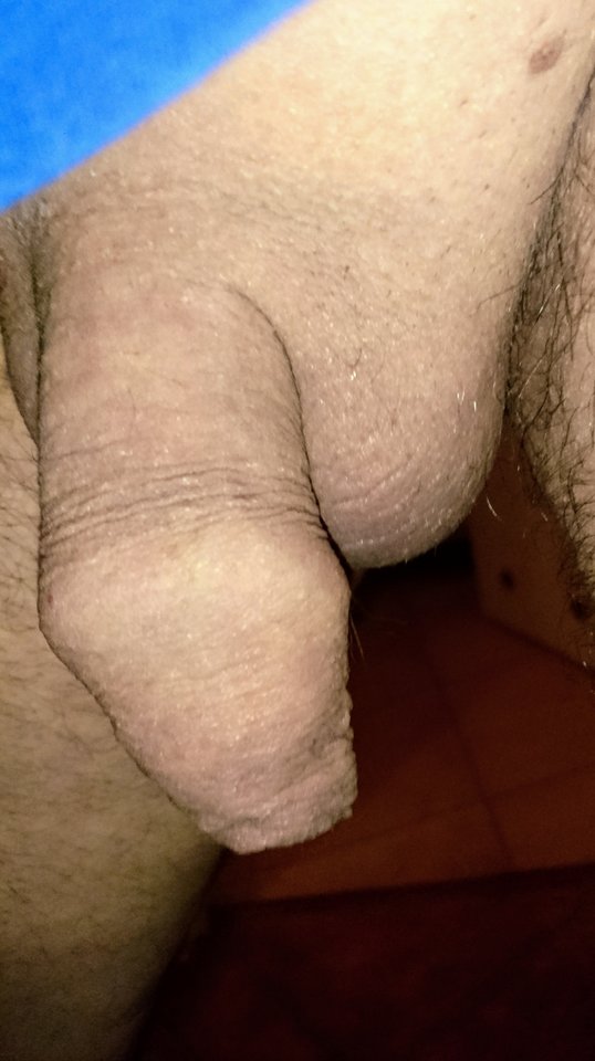 DSC_6204~2.JPG - artur42wawa