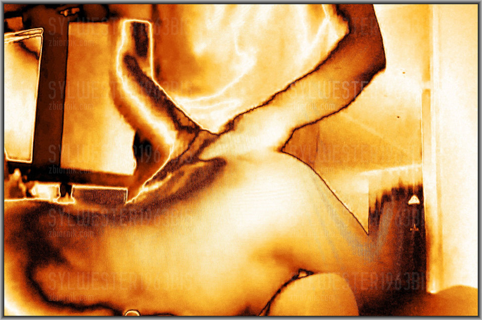 12342_892.jpg - sylwester1963bis