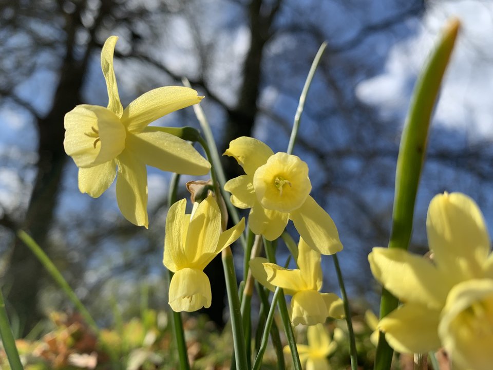 3EAC8D9C-DEE2-4CA8-A994-595D2EFE9F28.jpeg - Maxy4