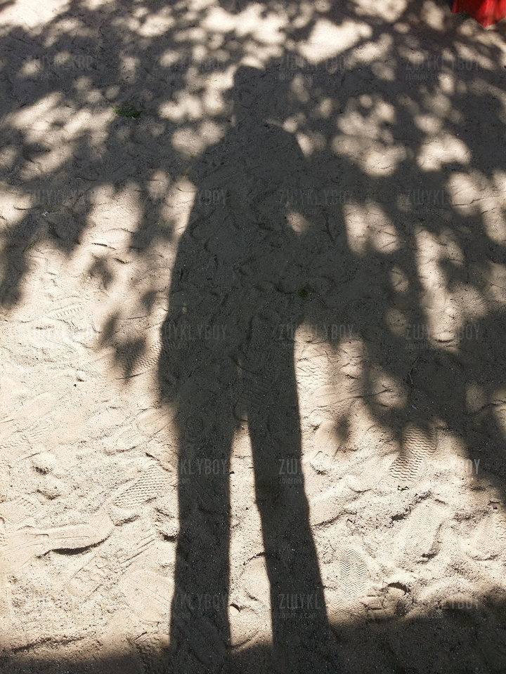 20170609_173002.jpg - ZwyklyBoy