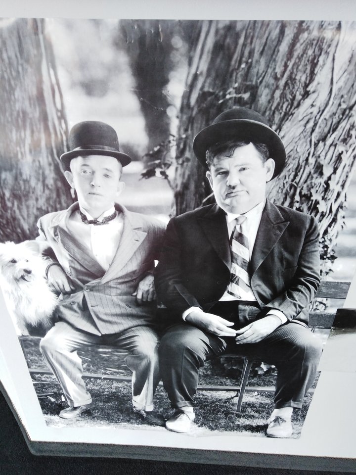 IMG_20190621_151112.jpg - Frelka_ze_wsi