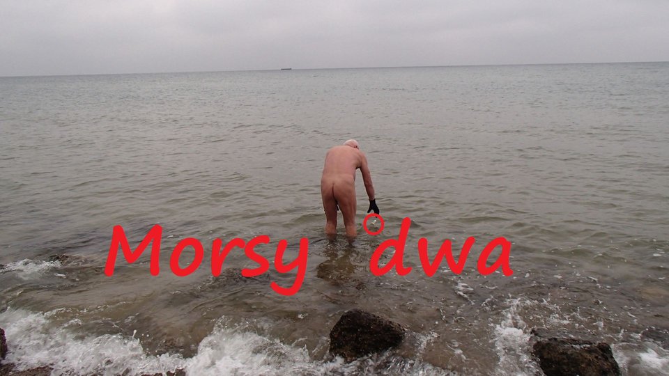 Kąpiel 26 XI 2019 r. - Morsy_dwa