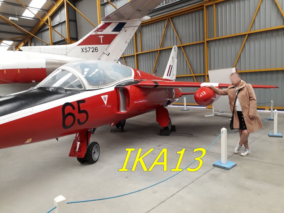 sam3312.jpg - ika13