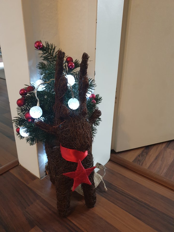 20191127_095726.jpg - wolnaona_de