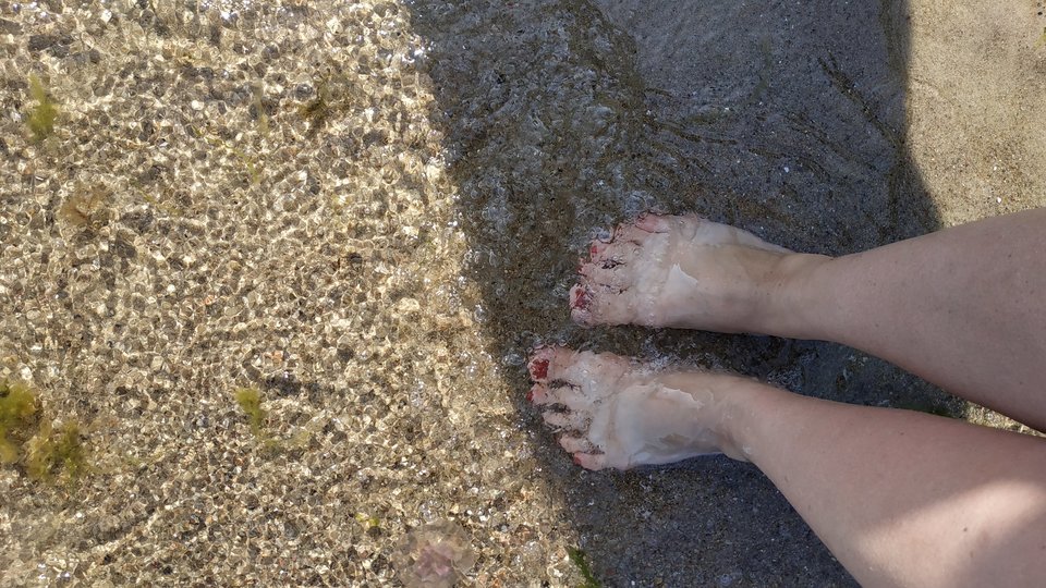 IMG_20190824_134431.jpg - MajerkaXXL