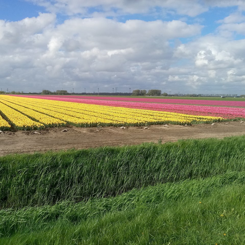 IMG_20180612_062452_227.jpg - 8Marco