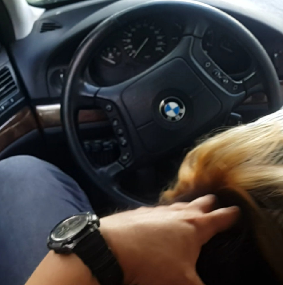 SmartSelectImage_2019-11-28-21-52-01.jpg - Pan83_i_jego_suka95