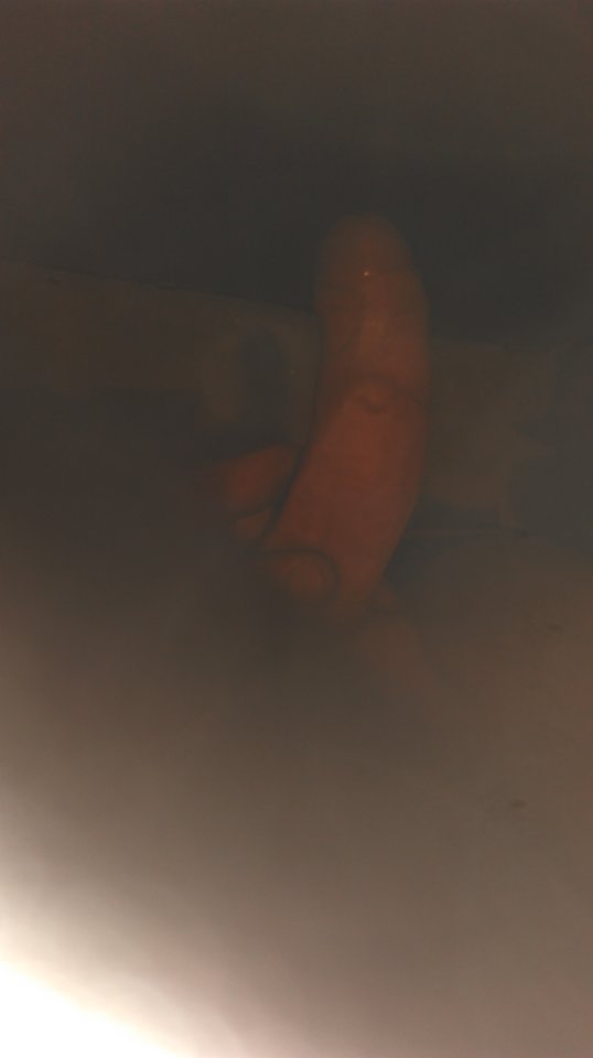 IMAG0099.jpg - lysyLysyLysyLysy