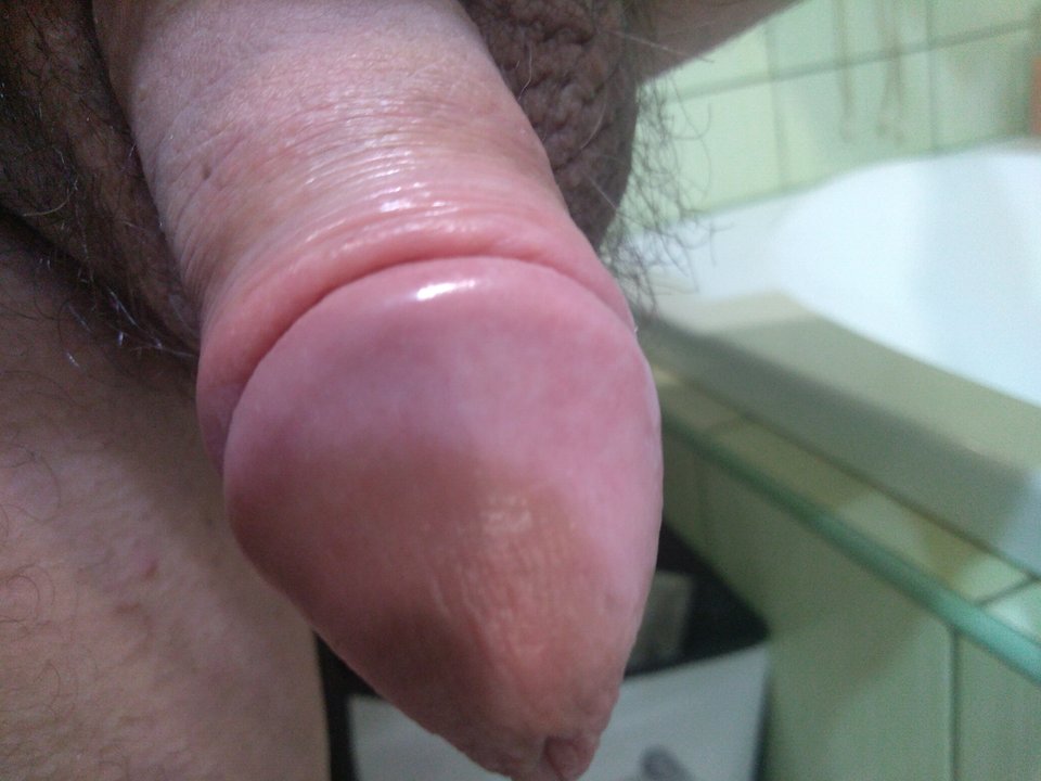 15750040650037642808413052683023.jpg - matuzalem000