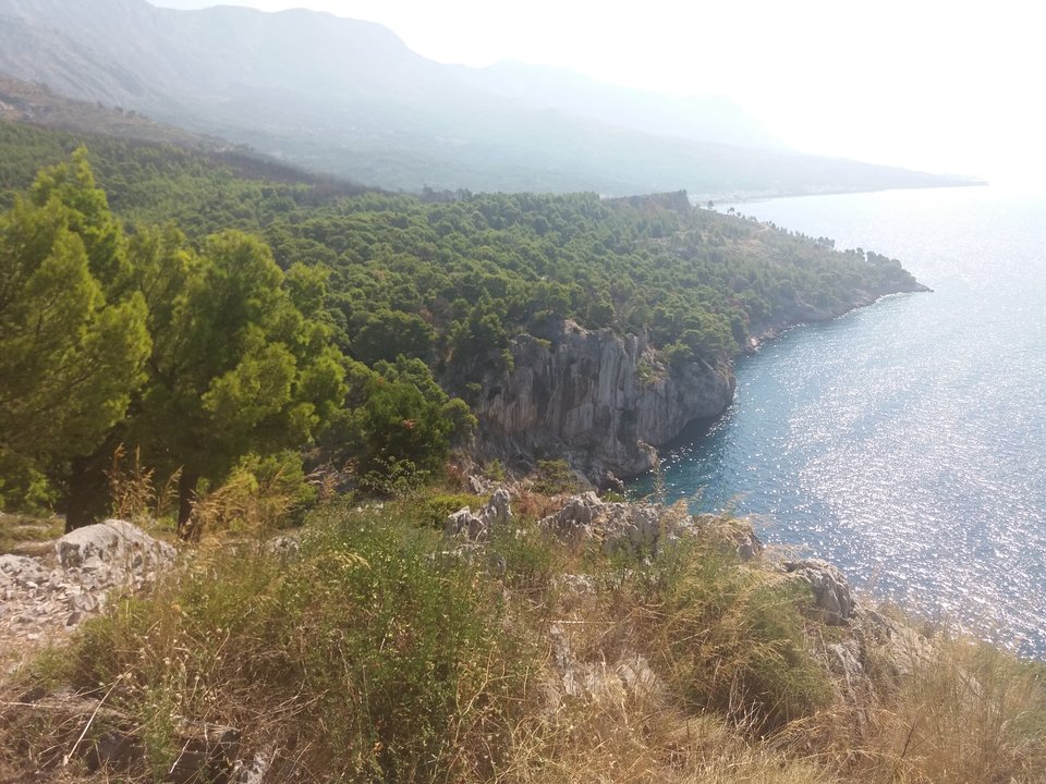 20180909_105801.jpg - -paw-