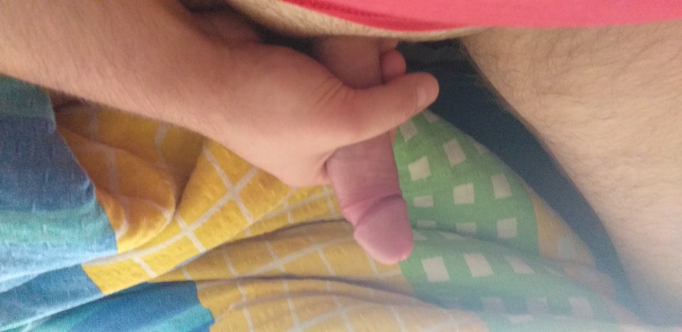 20191130_103334.jpg - Panzyga13