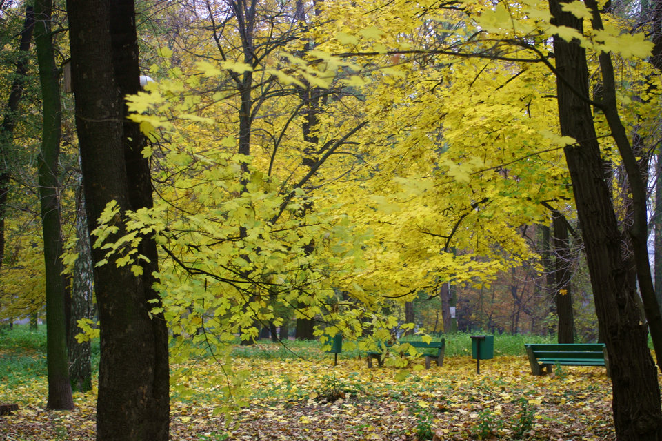 016.2.jpg - jacekplacek12