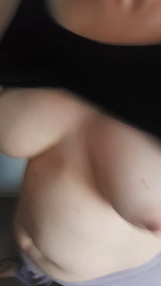 081505.jpg - kubotar