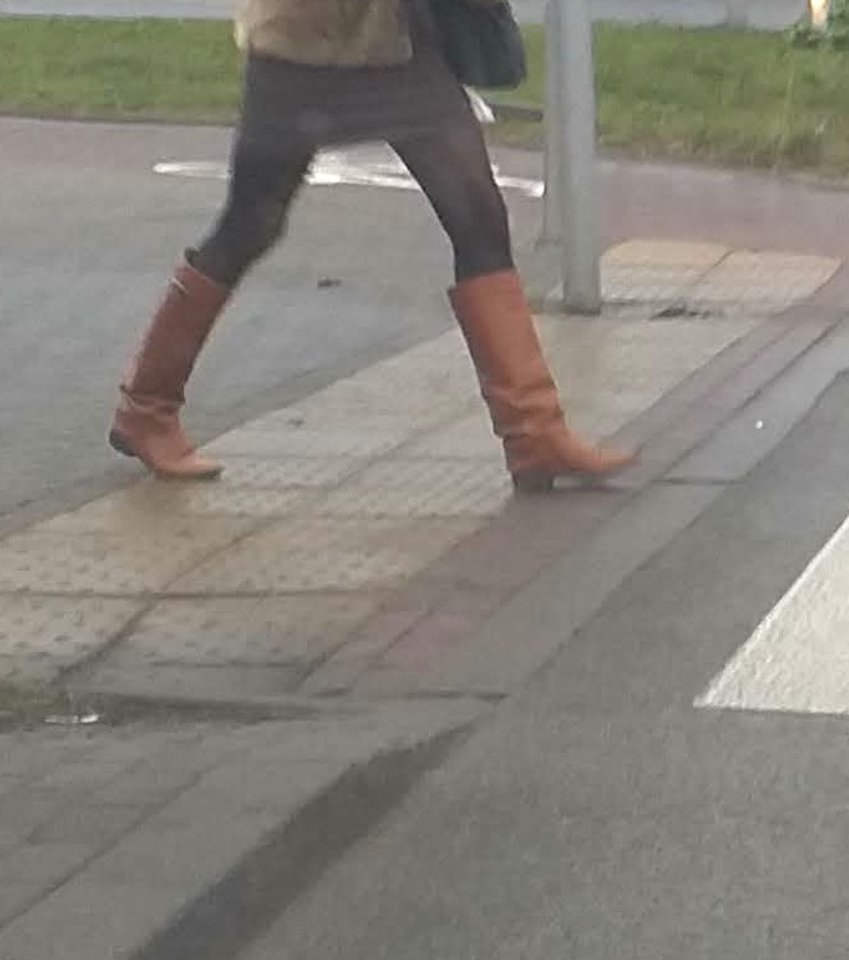 201912043155cz.jpg - AGALA