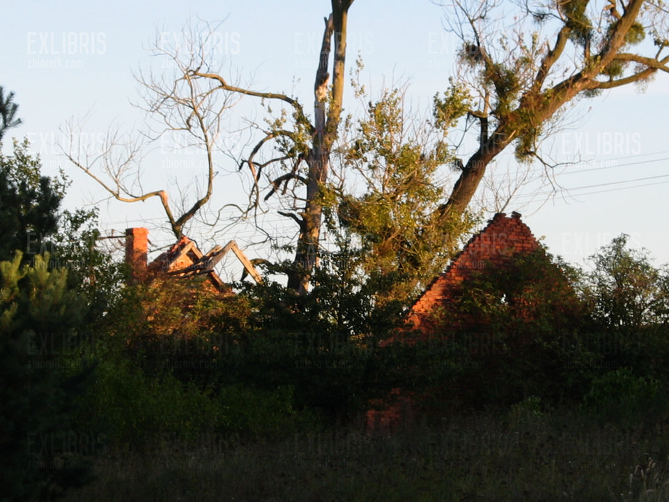 Tam mieszkała Baba Jaga... - exlibris