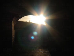 Shrek! Nie idź w stronę światła!!!