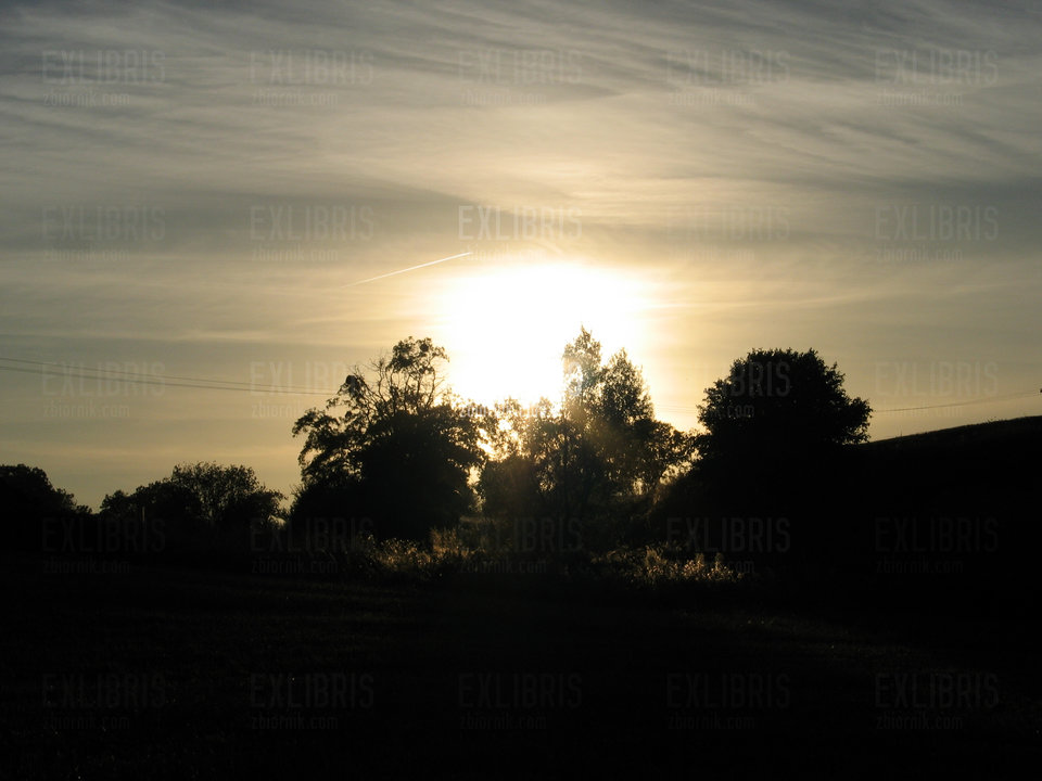 UFO ląduje! - exlibris