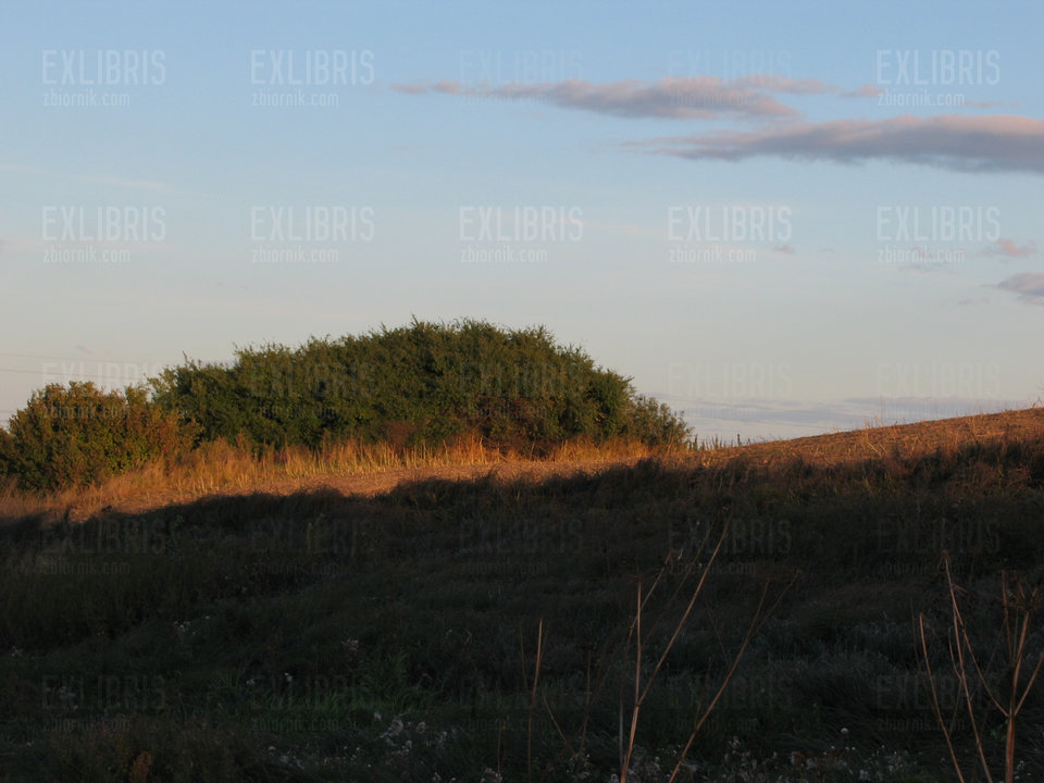 Zachód na wschodzie - exlibris