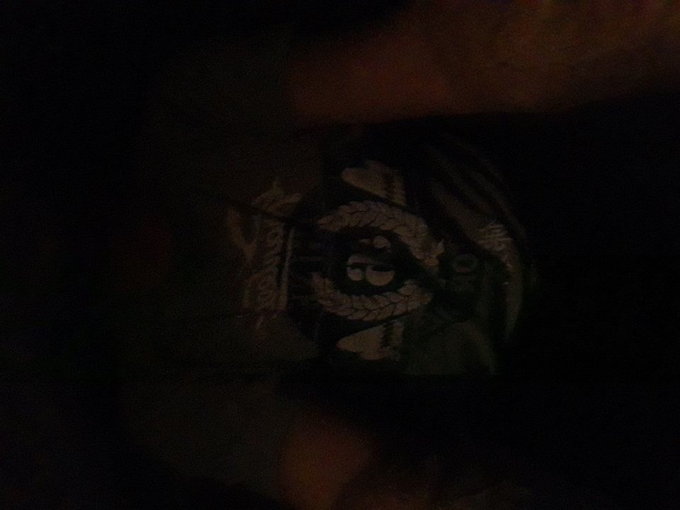 1575667504043856700636.jpg - piotr1005