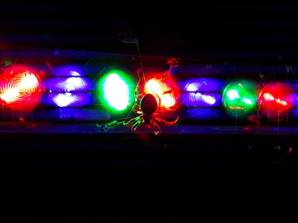 20180608_215658.jpg - Wymyk_