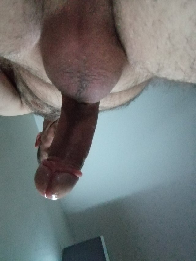 dragon252
