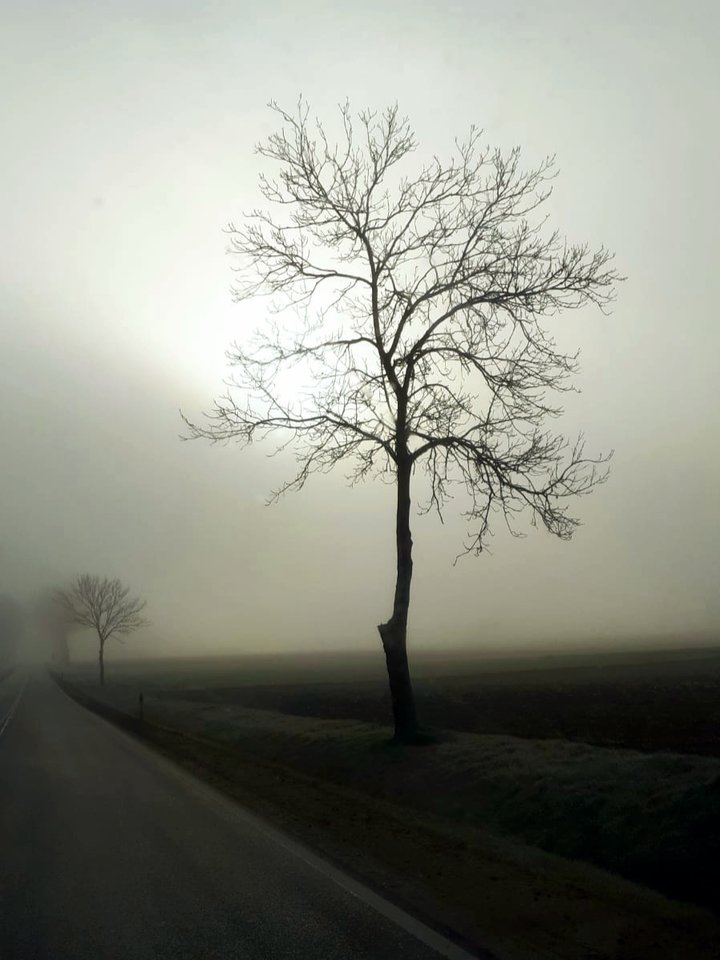 IMG-20191211-WA0018.jpg - Tabas0