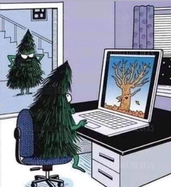 Zboczone drzewka 😉