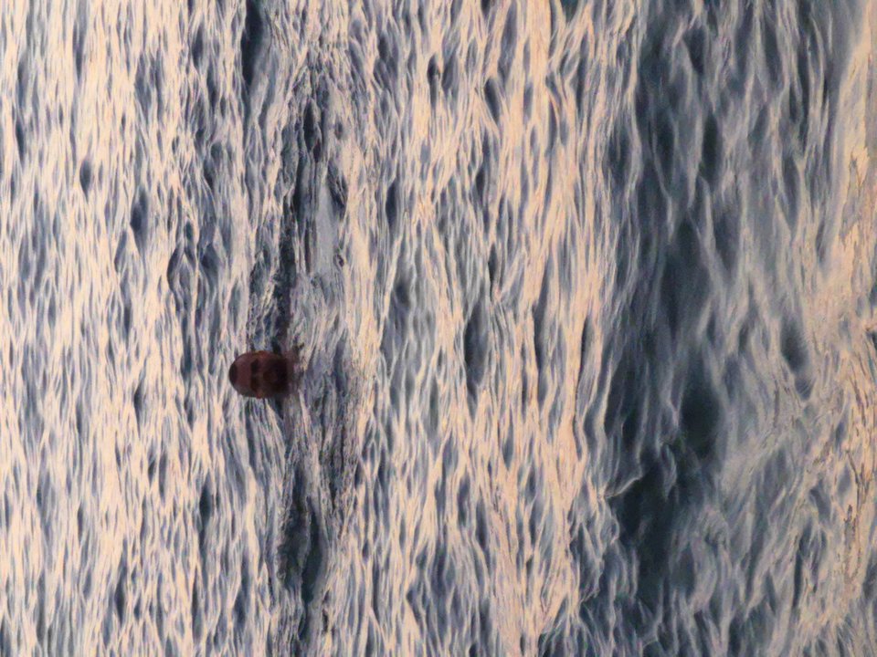 IMG_20180812_200128_BURST022.jpg - BelanExplorer