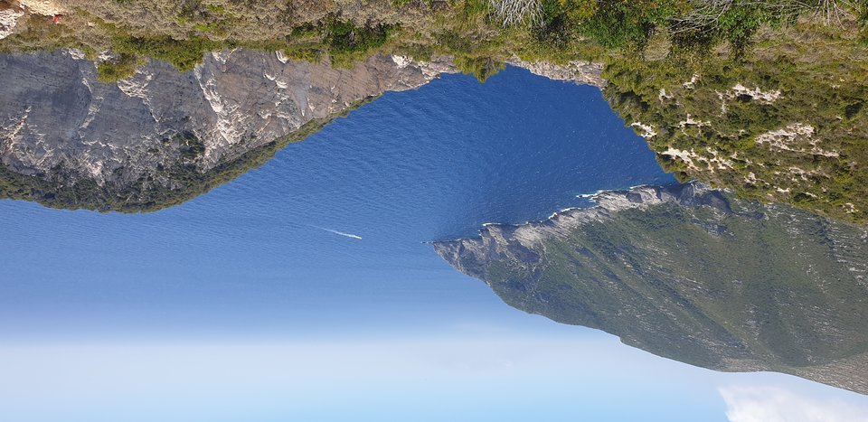 20190621_144251.jpg - WYSOKI444444
