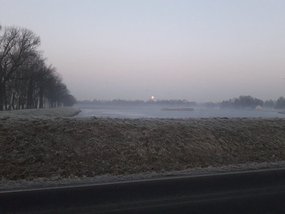 20190219_063457.jpg - tytan555