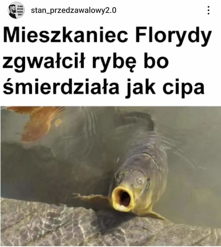 FB_IMG_1702385447405.jpg - borutaxyz