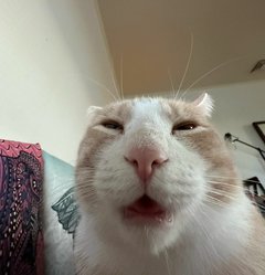 4d270f21-c7ce-48a5-97bd-7273ba018a65.jfif