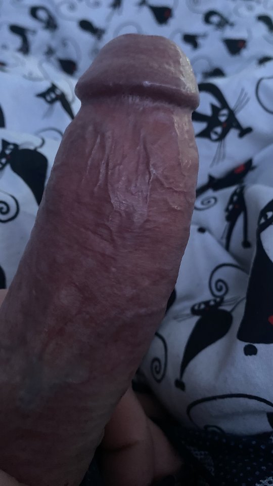 IMG_1292.jpeg - bondjames728