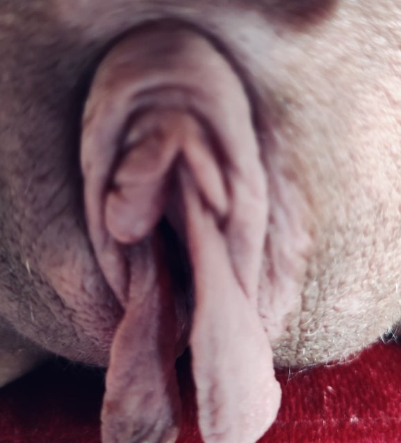 IMG_5148.jpeg - JoJa2222