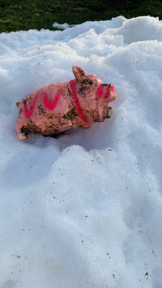 IMG_7779.jpeg - May_Day