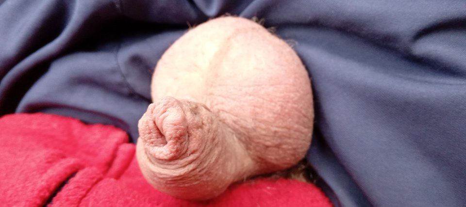 Fgh - Fiutkutaschujjaja