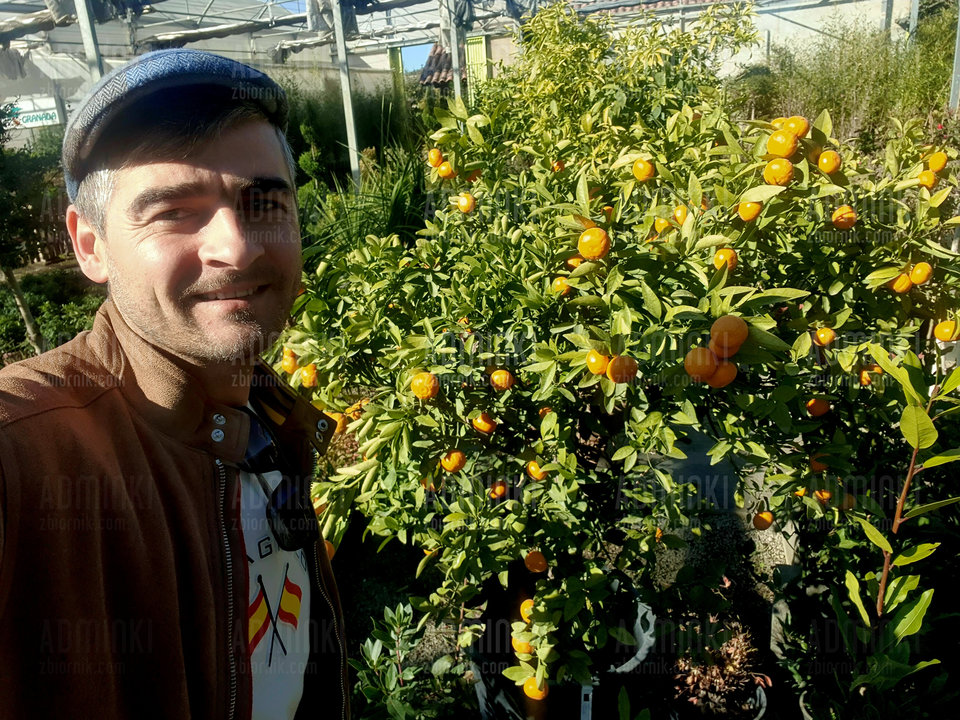 🇪🇸❤️🍊🍊🍊 - Adminki